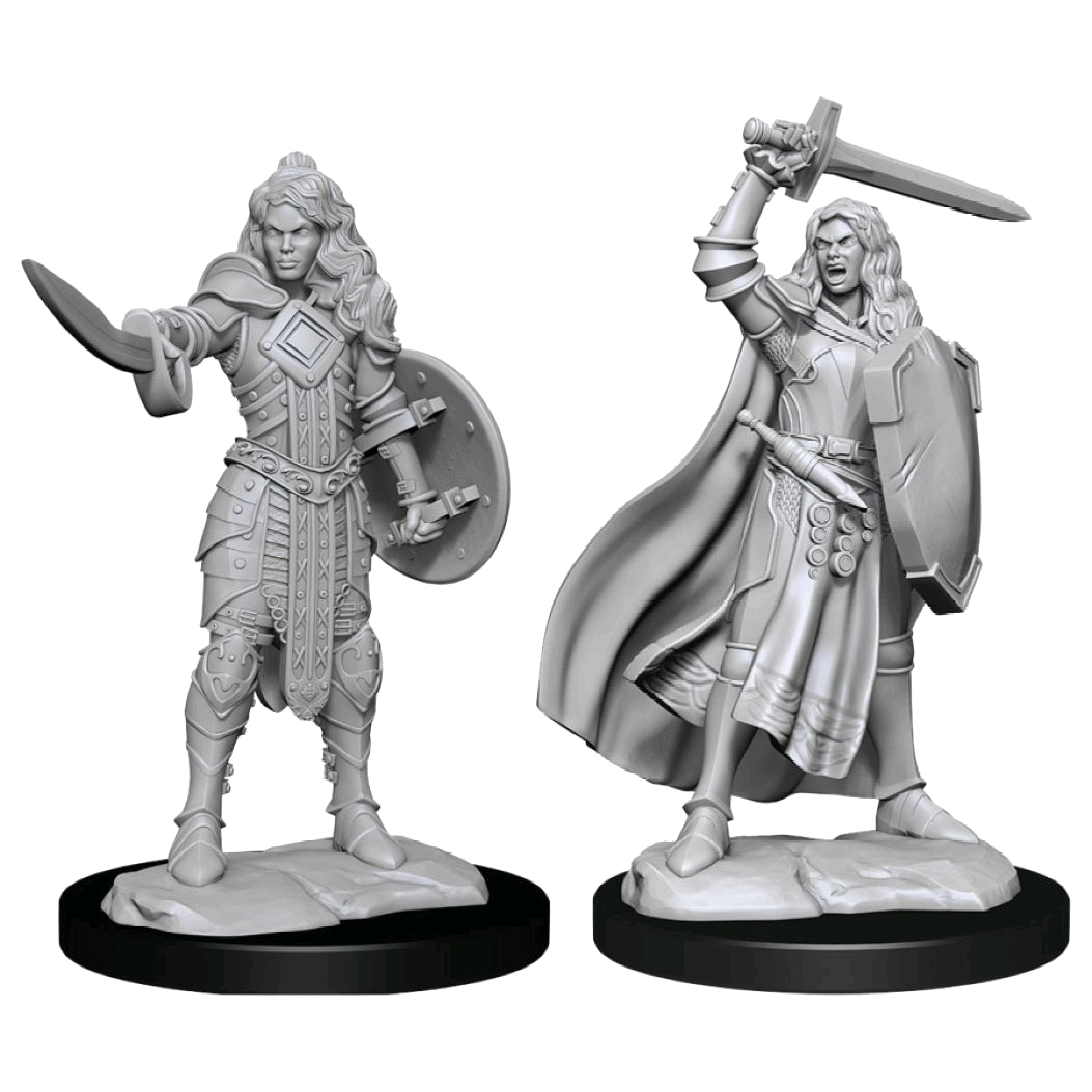Pathfinder Battles Female Human Champion x2 Unpainted