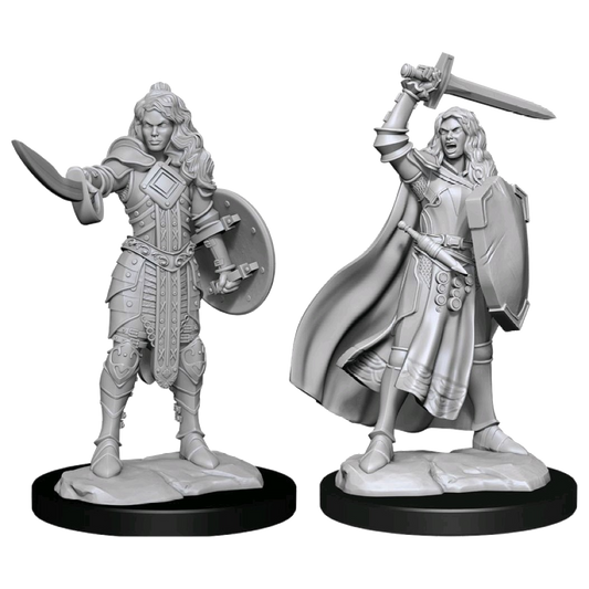 Pathfinder Battles Female Human Champion x2 Unpainted